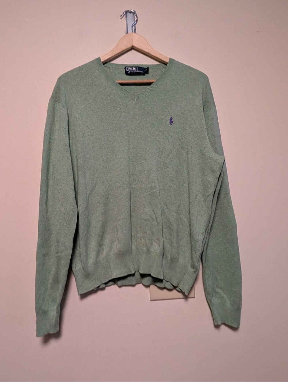 Polo by Ralph Lauren Men's Light Sage V-Neck Sweater with Embroidered Pony M